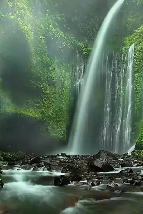 麦克斯：兄弟魔咒
